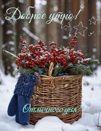 IMG_9568.webp