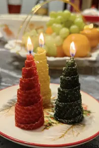 1736794007288.webp