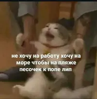 Screenshot_2025-01-13-22-22-43-275_com.instagram.android~2.webp