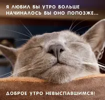 IMG_9578.webp
