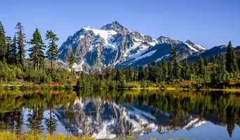 1200-02.webp