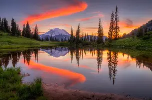 1200-03.webp