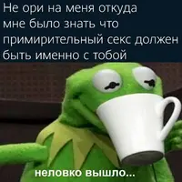 1200-033.webp