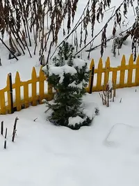 20250115095710.webp