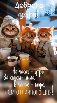 0214_202817_156.webp