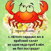 IMG_5554.webp