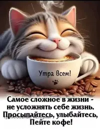 1000103855.webp
