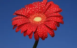 1200-004.webp