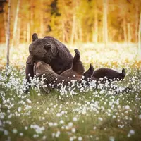 IMG_20250119_145341_382.webp