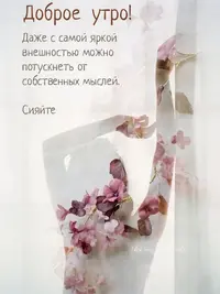 7957174a698784cffc0e7270796ae9a7.webp