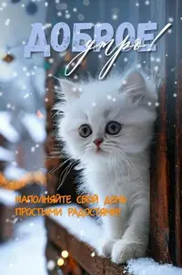03401_121.webp