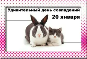 1200-01.webp