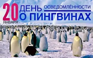 1200-02.webp