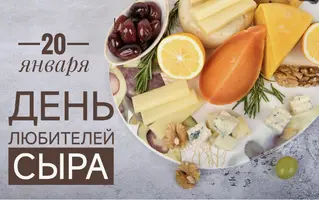 1737389167004.webp