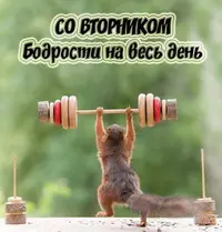 IMG_9806.webp