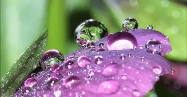 1200-01.webp