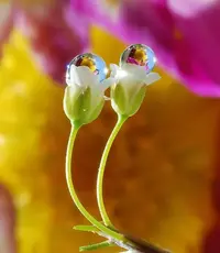 1200-02.webp