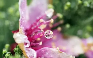 1200-03.webp