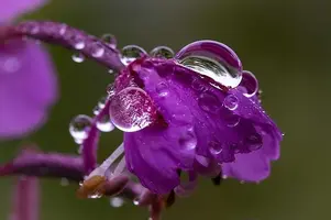 1200-04.webp