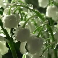 1200-005.webp