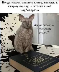 4e648eb0-f9c0-497b-b6ec-e806fac05212.webp