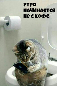 1000125450.webp