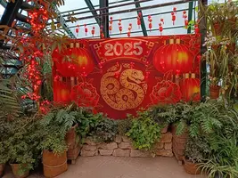 20250123133624.webp