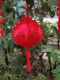 20250123133039.webp