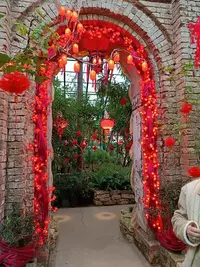 20250123133158.webp