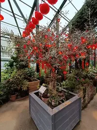 20250123133453.webp