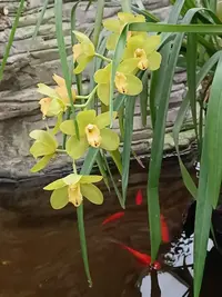 20250123132927.webp