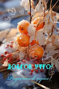 023_521.webp
