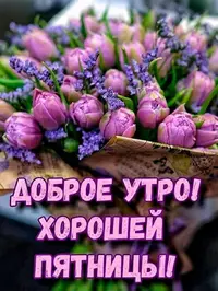 IMG_5652.webp