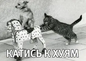 IMG-20250116-WA0006.webp