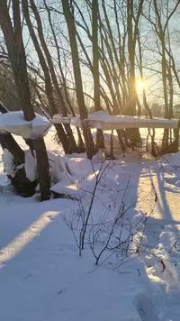 IMG20250119160640.webp