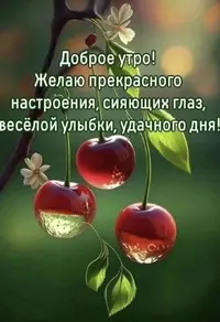 IMG_9915.webp