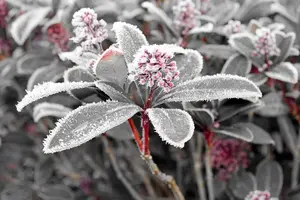 1200-00.webp