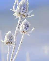 1200-01.webp