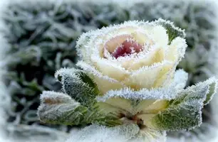 1200-02.webp
