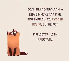 IMG_5775.webp