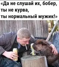 1737997119471.webp