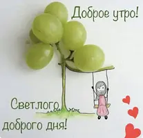 IMG_9950.webp