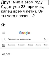 Почему так мало.webp