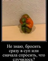 474640697_18346862278183311_2794563079856691525_n.webp
