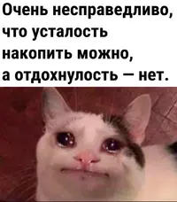 474254774_927068575941408_6751166657847087250_n.webp