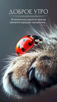 ffe7b526ab8b7e760f3dea45167aa4ce.webp