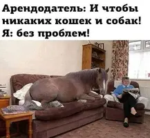 Snapinst.app_474750161_18441454987075971_6563861375743460903_n_1080.webp
