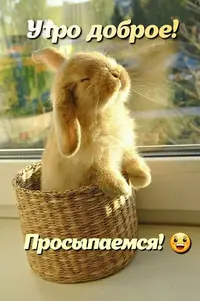 IMG_5791.webp