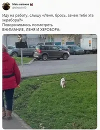 173808507613929283.webp