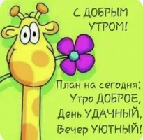 IMG_9982.webp